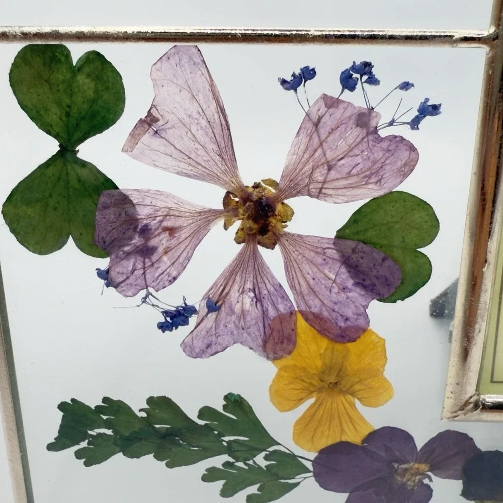 Vintage Pressed Flower Frame Friends 6x5 Glass Cottagecore Garden Decor‎